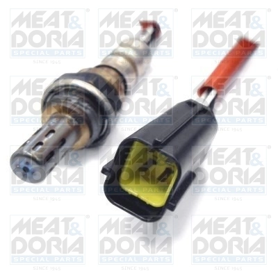 Oxygen Sensor
